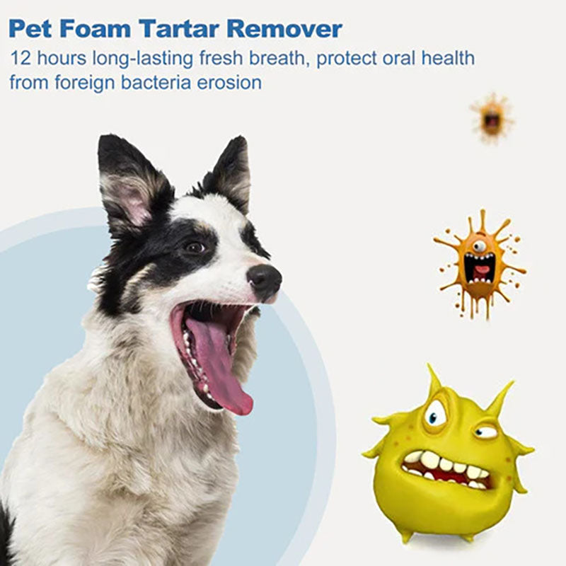 Foaming descaling agent for animal oral hygiene
