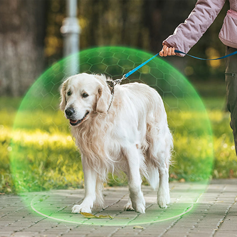 Pet anti-insect collar buckle
