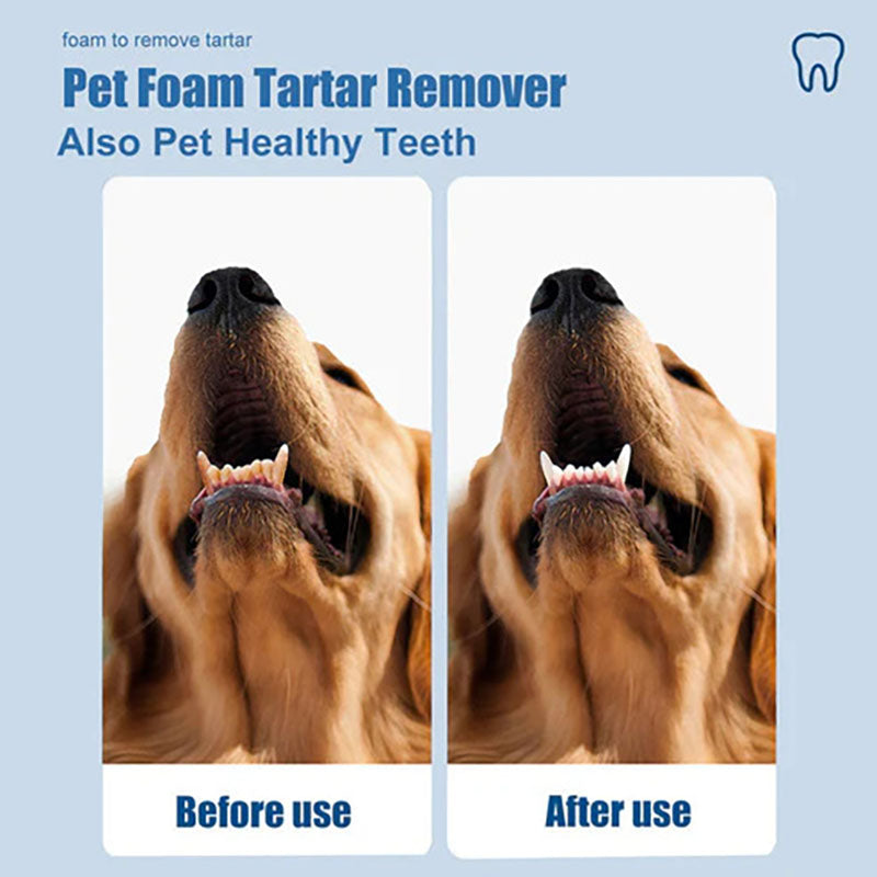 Foaming descaling agent for animal oral hygiene
