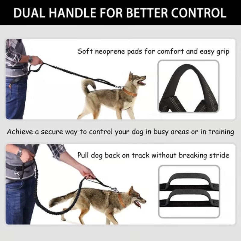 Hands Free Dog Leash with Zipper Bag