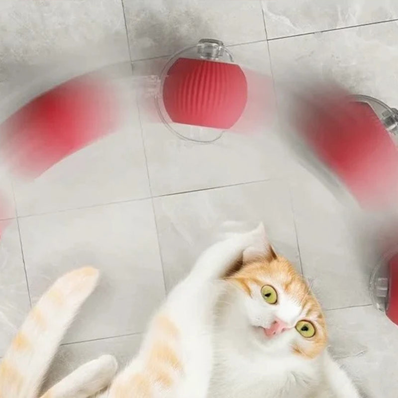 Smart Rolling Pet Toy Ball