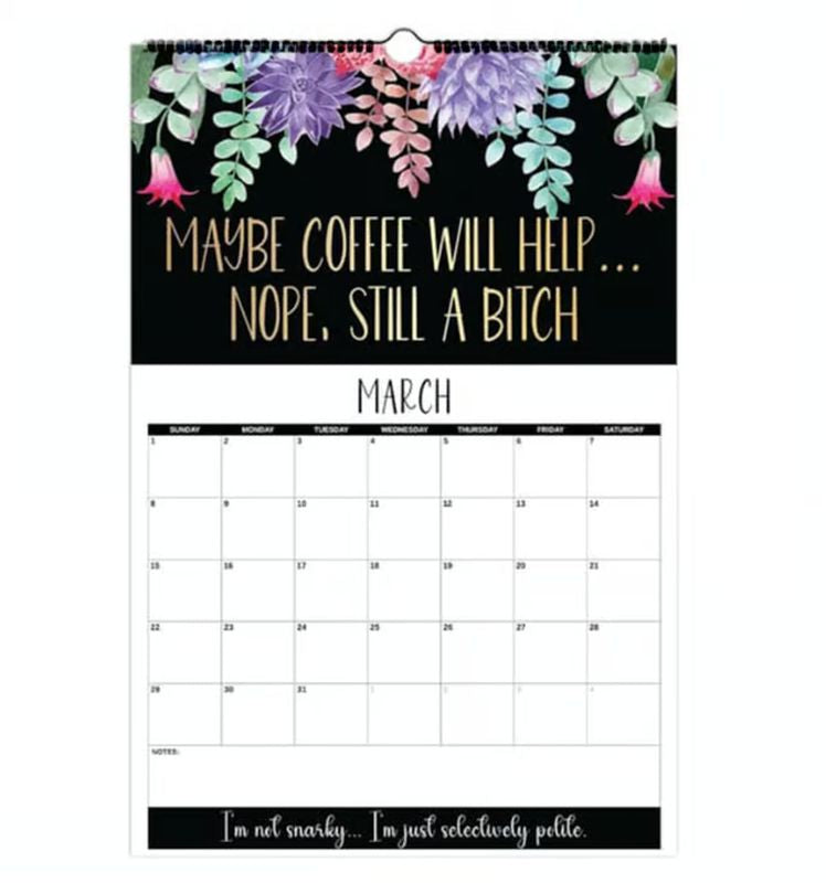2026 Calendar of Funny Swear Words for Tired Women