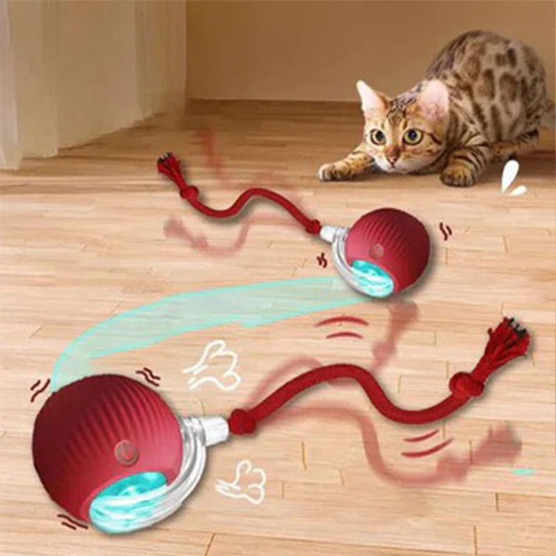 Smart Rolling Pet Toy Ball