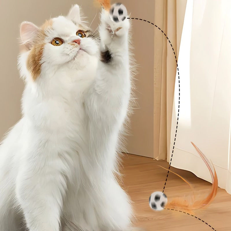 🔥Interactive Bouncy Ball for Cats with Feathers🐱