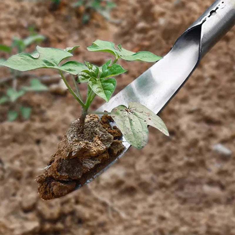 Home gardening tools