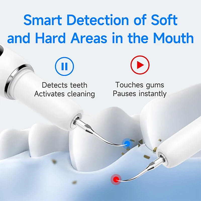 Electric Dental Scaler