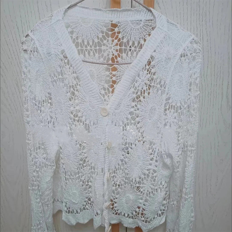 Women's V-neck lace long-sleeved top