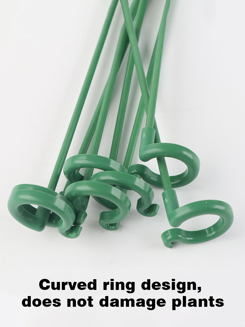 Climbing plant anti-lodging fixed bracket