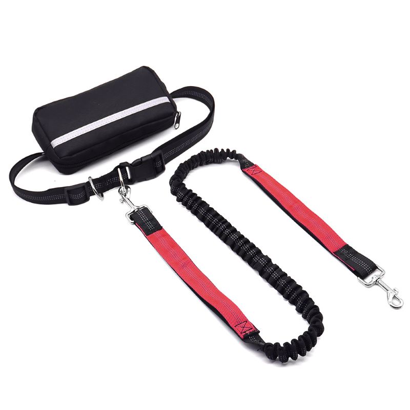Hands Free Dog Leash with Zipper Bag
