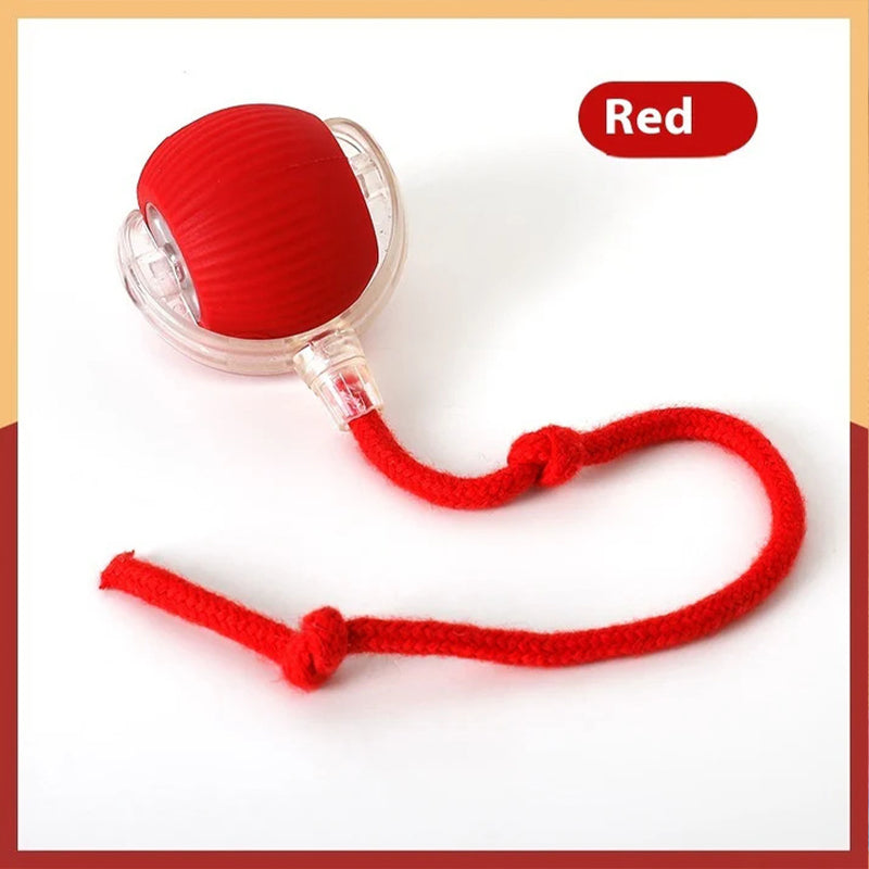 Smart Rolling Pet Toy Ball