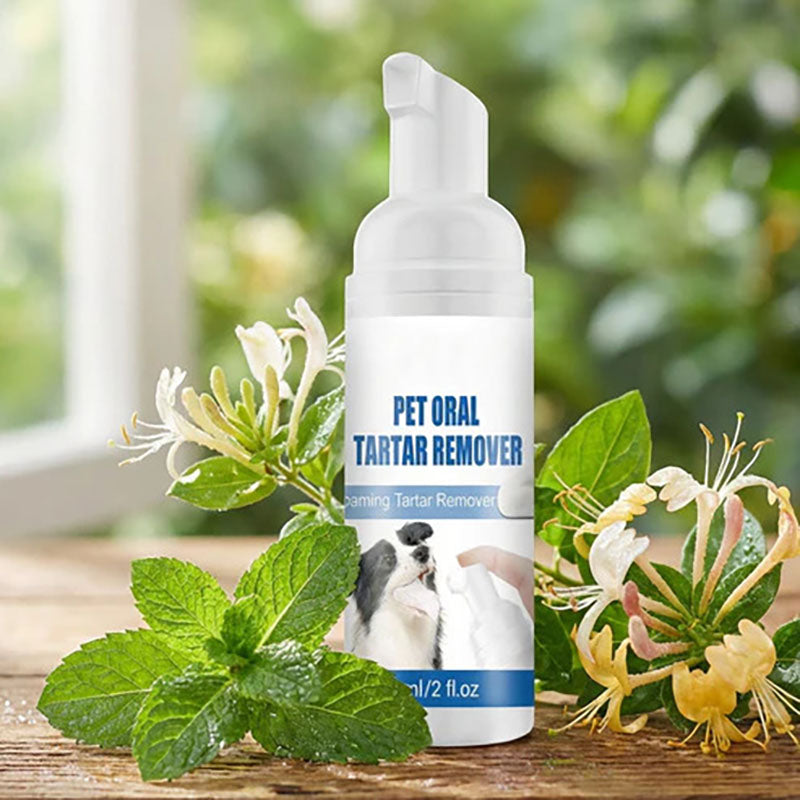 Foaming descaling agent for animal oral hygiene