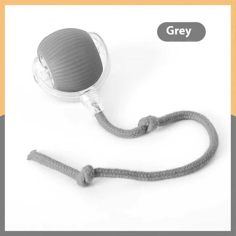 Smart Rolling Pet Toy Ball