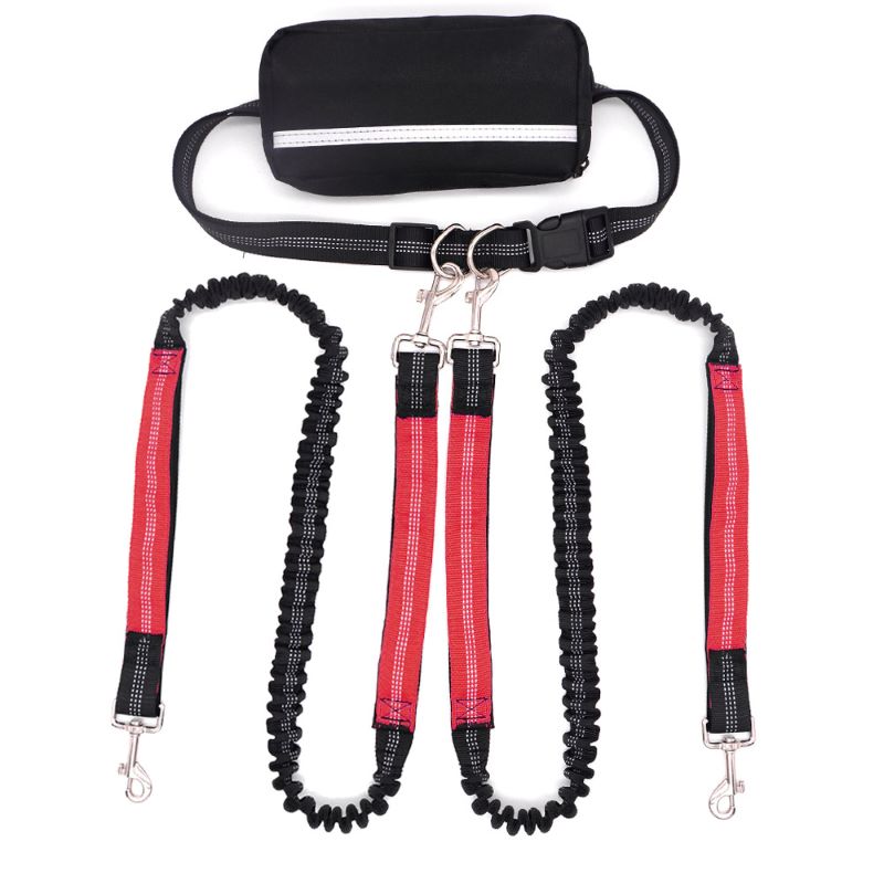 Hands Free Dog Leash with Zipper Bag