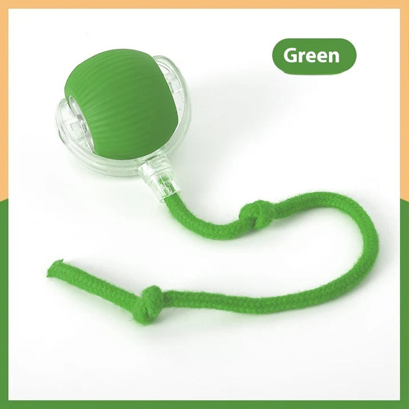 Smart Rolling Pet Toy Ball