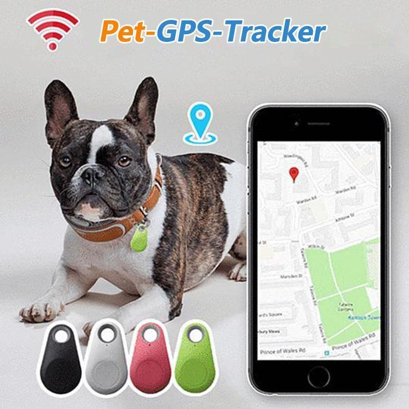 Smart GPS tracker for pets