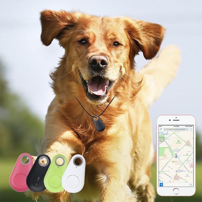Smart GPS tracker for pets