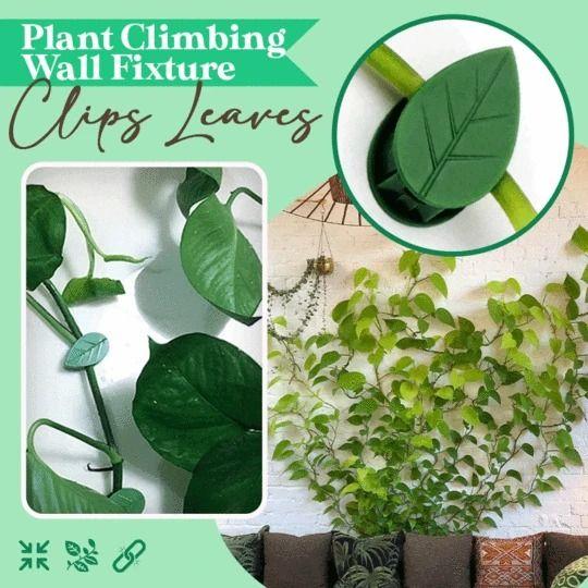 Plant Climbing Wall Fixture Clips Leaves